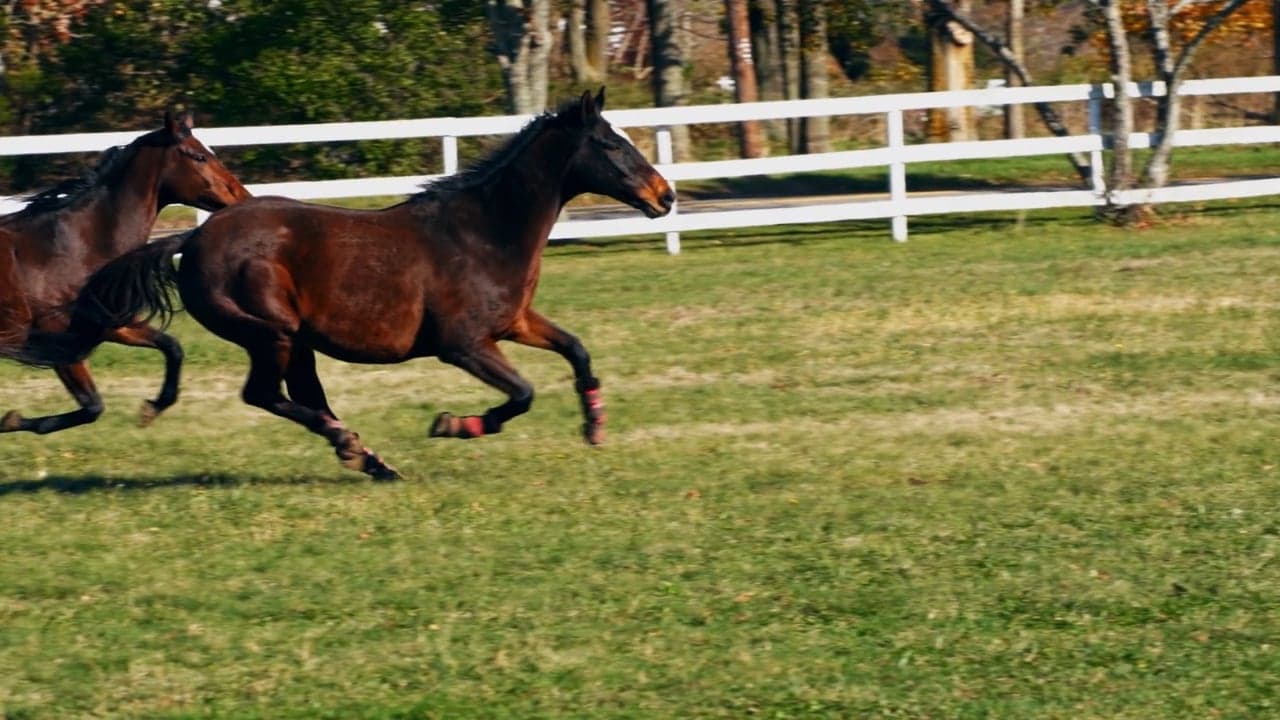 Frame from the short film Riding Redemption